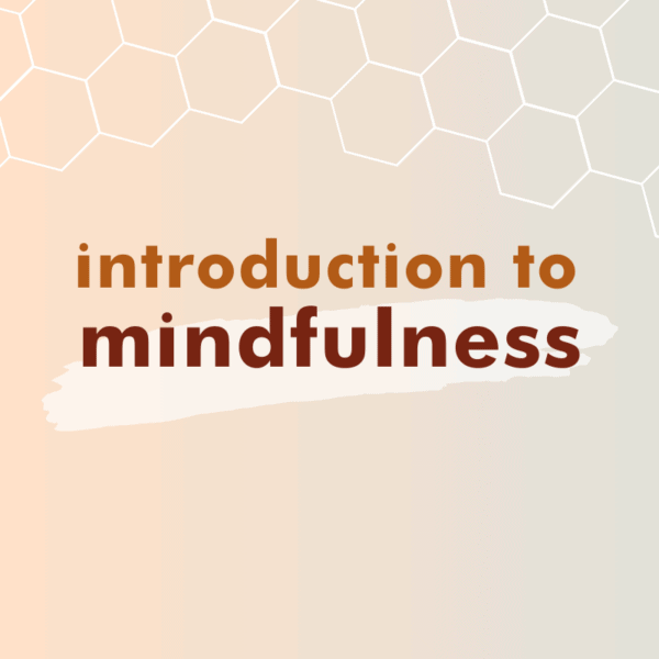 Introduction to Mindfulness - 2025 Term 2